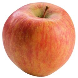 Apple Braeburn