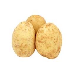 Potatoes Baking Large