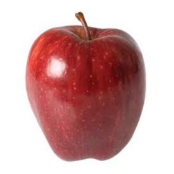 Apple Red Delicious