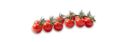 Tomatoes 'Miss Perfect' Cherry-Vine