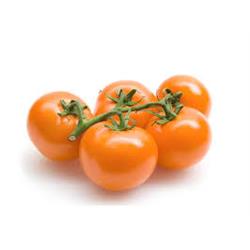 Tomatoes On The Vine Orange