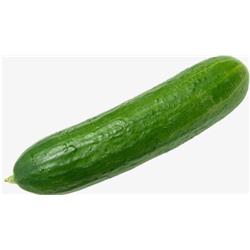 Cucumber Whole Large