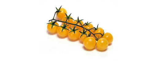 Tomatoes English Yellow Cherry Plum-Vine