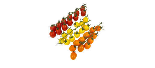 Tomatoes English Mixed Cherry-Vine Pack