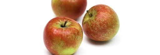 Apples Coxes Pack X7