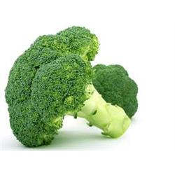 Broccoli "New Season"