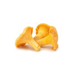 Mushrooms Girolle