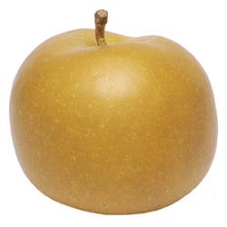 Apple Russet (NEW SEASON)