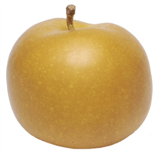 Apple Russet (NEW SEASON)