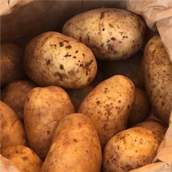 Potatoes Local grown Sagitta 2.5kg