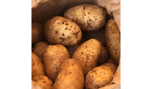 Potatoes Local grown Sagitta 2.5kg