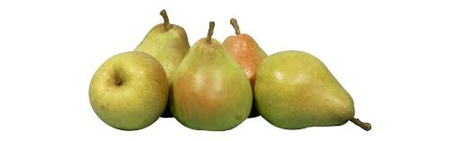 Pear Comice